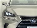 2019 Lexus NX