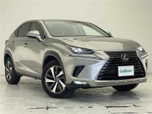 2019 Lexus NX