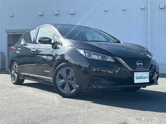 2021 Nissan Leaf