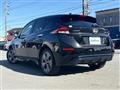 2021 Nissan Leaf