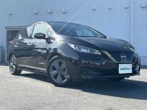 2021 Nissan Leaf