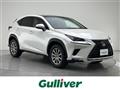 2019 Lexus NX