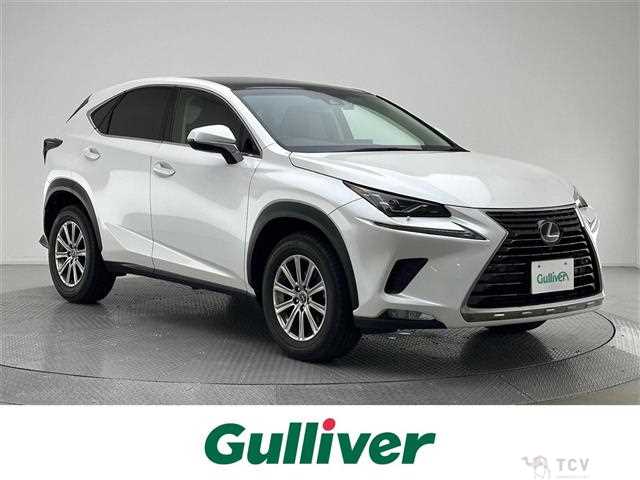 2019 Lexus NX