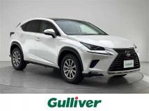 2019 Lexus NX