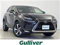 2019 Lexus NX
