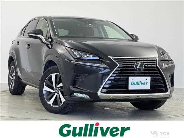 2019 Lexus NX
