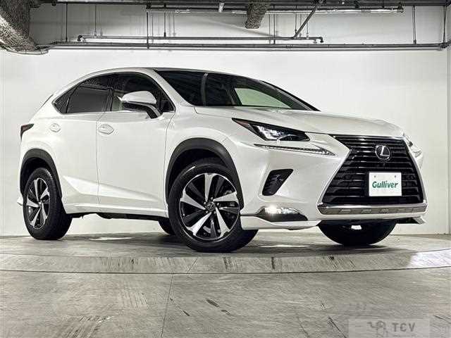 2017 Lexus NX