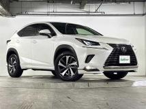 2017 Lexus NX