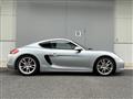 2014 Porsche Cayman