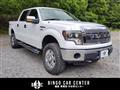 2011 Ford F150