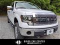 2011 Ford F150