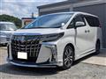 2019 Toyota Alphard G