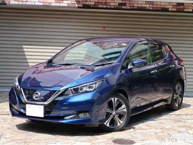2017 Nissan Nissan Others