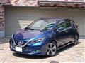 2017 Nissan Nissan Others