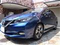 2017 Nissan Nissan Others