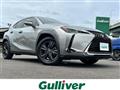2020 Lexus UX