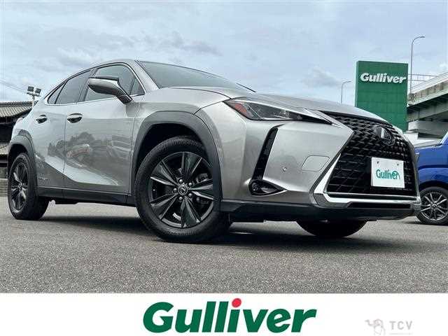 2020 Lexus UX