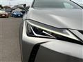 2020 Lexus UX