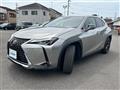 2020 Lexus UX