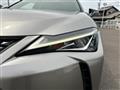 2020 Lexus UX