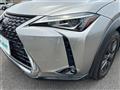 2020 Lexus UX