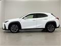 2019 Lexus UX