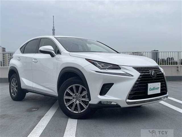 2020 Lexus NX