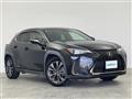 2020 Lexus UX