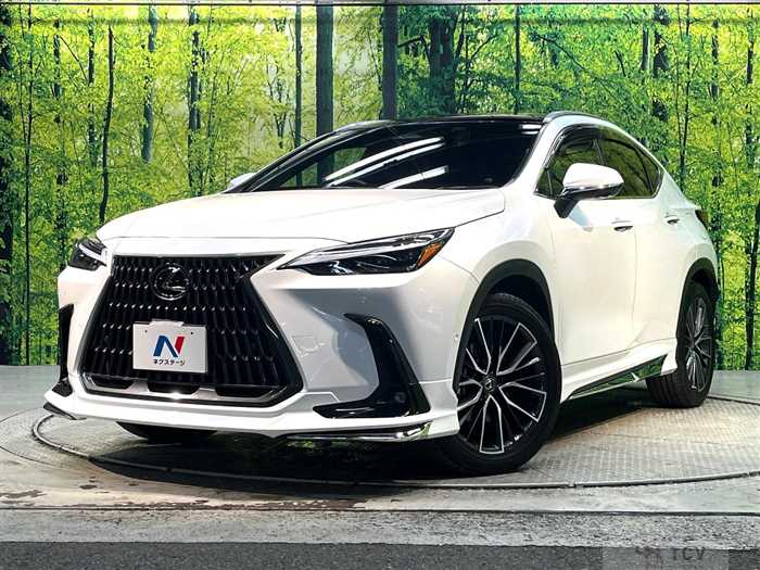 2023 Lexus NX