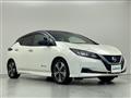 2019 Nissan Leaf