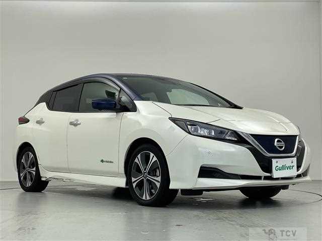 2019 Nissan Leaf