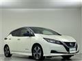 2019 Nissan Leaf