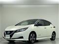2019 Nissan Leaf