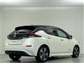 2019 Nissan Leaf