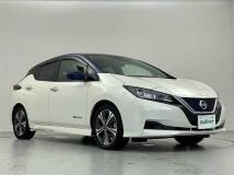 2019 Nissan Leaf