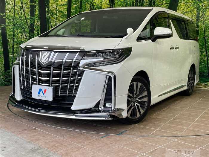 2020 Toyota Alphard