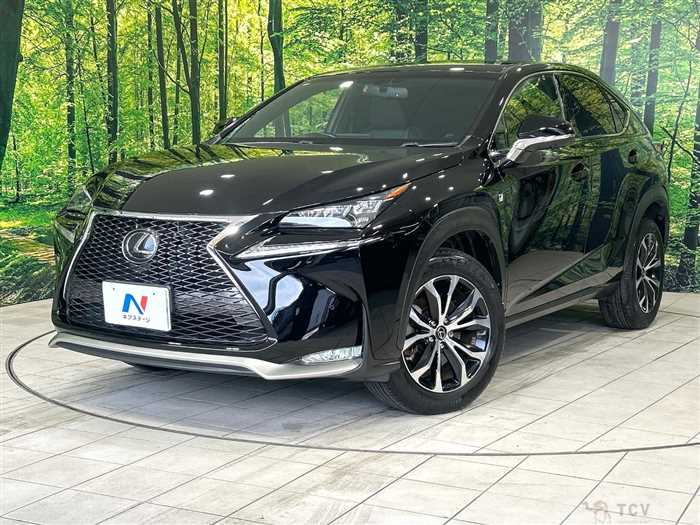 2014 Lexus NX