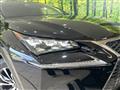 2014 Lexus NX