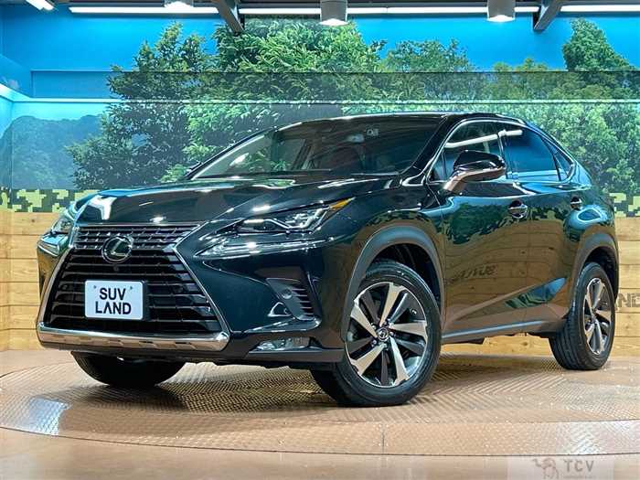 2017 Lexus NX