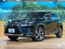 2017 Lexus NX