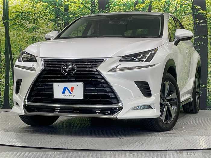 2020 Lexus NX