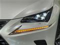 2020 Lexus NX