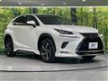 2020 Lexus NX
