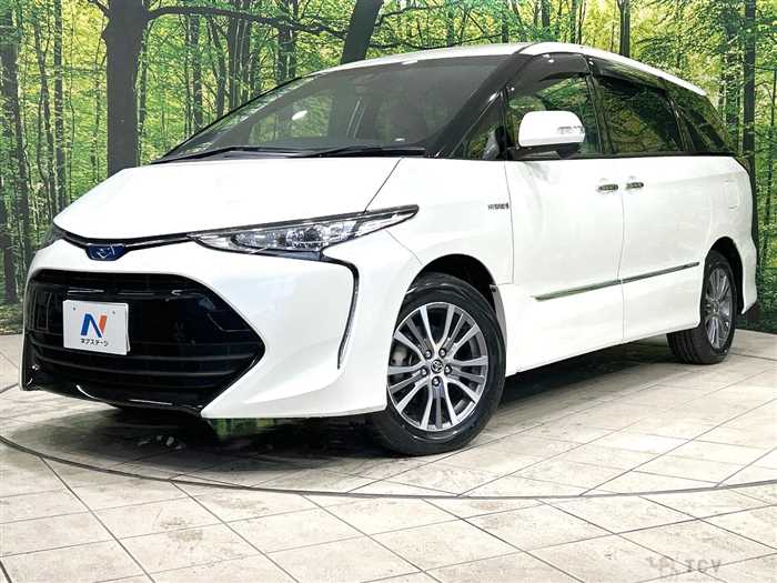 2019 Toyota Estima Hybrid