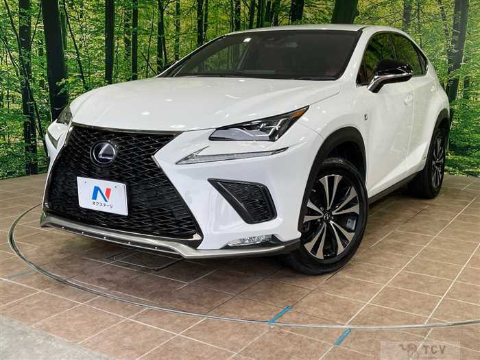 2018 Lexus NX