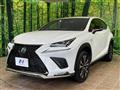 2018 Lexus NX