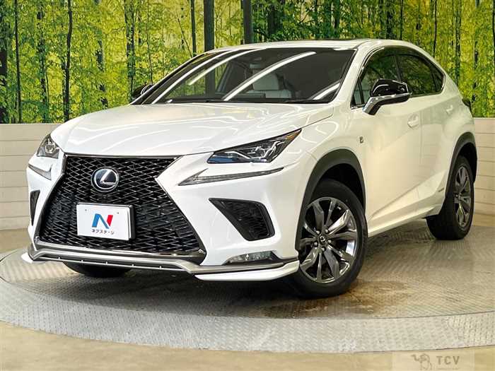 2018 Lexus NX