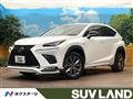 2019 Lexus NX