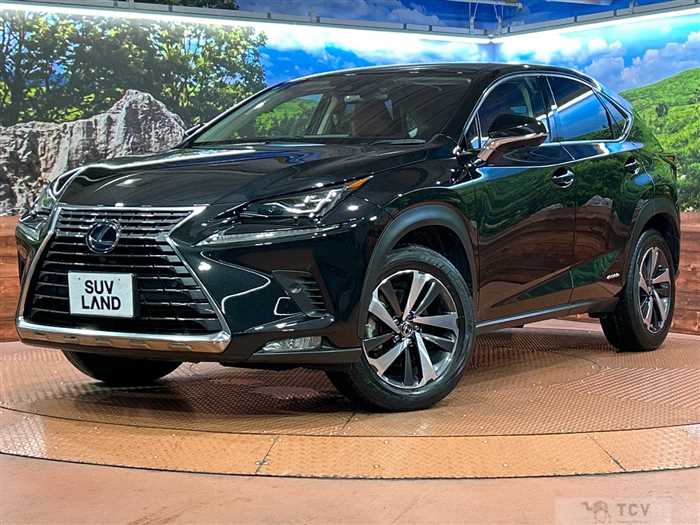 2019 Lexus NX
