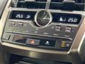 2019 Lexus NX